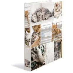 Herma Ringbuch 19428 Animals, A4, 2 Ringe, Ring-Ø 20mm, Motiv Katzen 7 Herma Ringbuch 19428 Animals, A4, 2 Ringe, Ring-Ø 20mm, Motiv Katzen -Novus Leitz Verkaufe 1692487115bc480a7bba57732dd9f73d063548de ringbuch herma 19428 animals a4