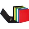 Pagna Ringbuch 20607-00 Basic, A4, 2 Ringe, Ring-Ø 20mm, Farbig Sortiert, 12 Stück