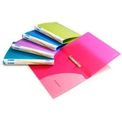 RAPESCO Ringbuch 0799, A4, 2 Ringe, Ring-Ø 15mm, Farbig Sortiert, 10 Stück