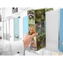 Herma Ordner 7202 Animals, Karton, A4, 7cm, Motiv Waldtiere -Novus Leitz Verkaufe 7119246b0eabb300290199128db2d72b623c44b7 ordner herma 7202 animals karton a4