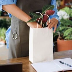 Folia Tragetaschen Weiß, 18 X 21cm, Papiertüten Mit Henkel, 20 Stück -Novus Leitz Verkaufe 81848b0a7a4d03e52d21142479ad13322f1979bb tragetaschen folia weiss 18 x 21cm