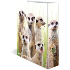 Herma Ordner 19955 Exotische Tiere, Karton, A4, 7cm, Motiv Erdmännchentruppe 8 Herma Ordner 19955 Exotische Tiere, Karton, A4, 7cm, Motiv Erdmännchentruppe -Novus Leitz Verkaufe 8b5b9c7095b53cdee72caf06c711c9e9776b1f35 ordner herma 19955 exotische tiere karton a4