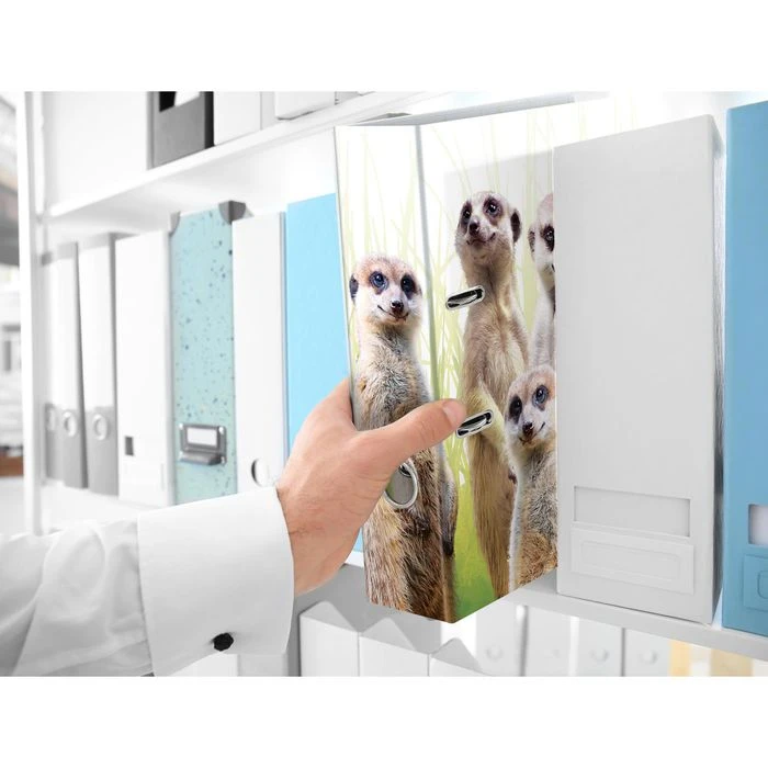 Herma Ordner 19955 Exotische Tiere, Karton, A4, 7cm, Motiv Erdmännchentruppe 3 Herma Ordner 19955 Exotische Tiere, Karton, A4, 7cm, Motiv Erdmännchentruppe – Bild 3