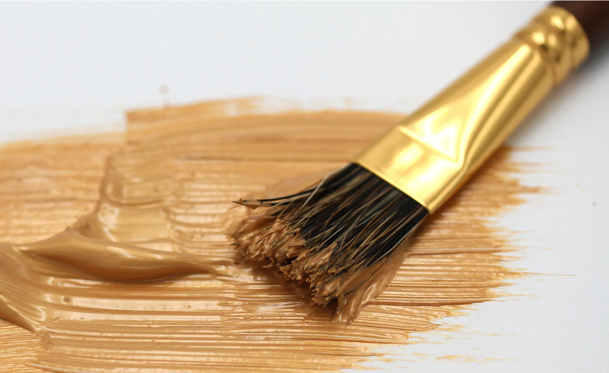 Novus Leitz Verkaufe -Novus Leitz Verkaufe Borstenpinsel 5er 3 4251011712062